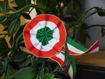 A kokárda története – a március 15-i ünnep egyik legfontosabb jelképe